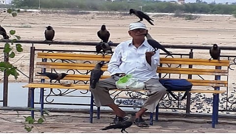 कावळ्यांना आपलसे करणारा माणूस! 