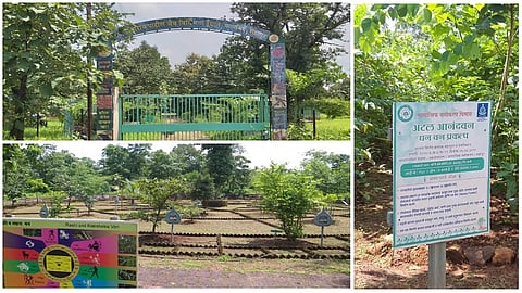 शहापुरातील जैवविविधता केंद्र उद्‌घाटनाच्या प्रतीक्षेत; लाखोंचा खर्च वाया जाण्याची भीती 