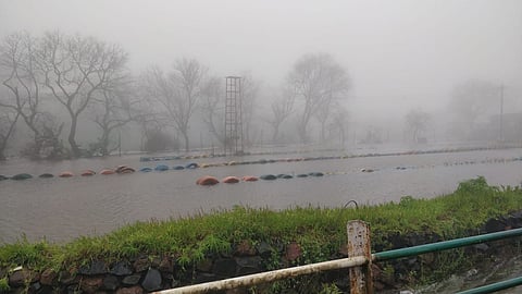 पश्‍चिम भागात पावसाचा जोर कायम, सातारा जिल्ह्यातील धरणांचा पाणीसाठा 50 टक्य्यांनी वाढला