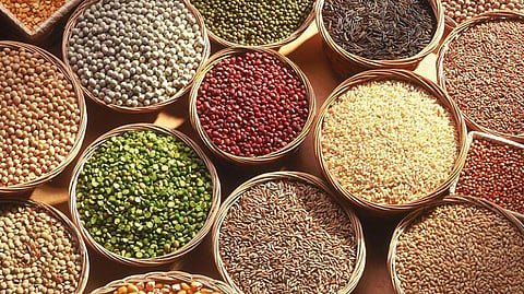 Pulses News