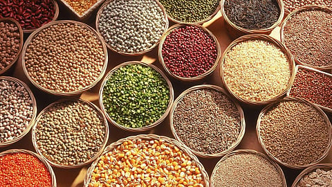 Lentils effects on body