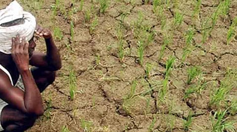 Drought 