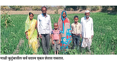 दुष्काळातही भाजीपाला शेतीतून मिळविले आर्थिक स्थैर्य
