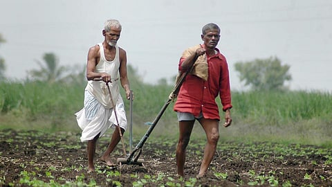 farmers are not getting loan relief due to technical errors in banks  