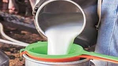 lockdown impact for farmer Milk side business