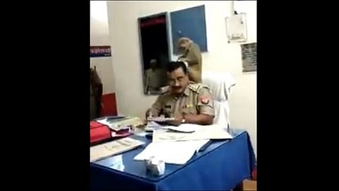 Monkey Sits on Indian Cops Shoulder and Gives Him a Free Hair Care
