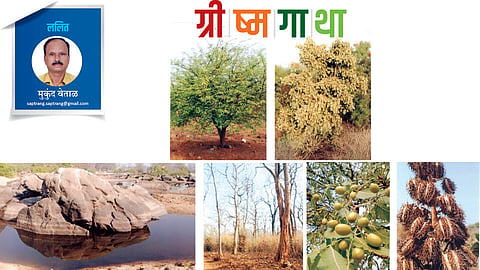 mukund vetal