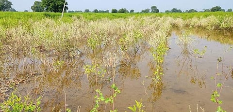 nagar rain images