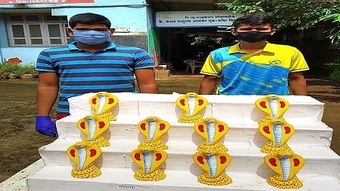nagpanchmi festiveal  positive story in rajapur ratnagiri distric