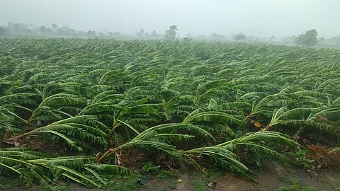 narayngoan