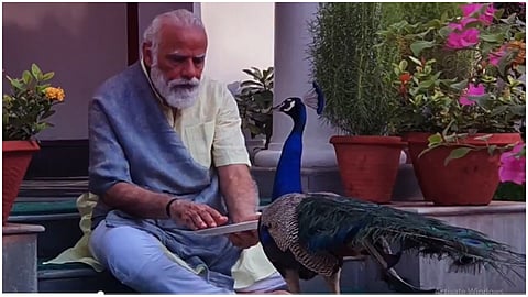 narendra modi.jpg
