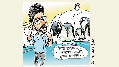 ढिंग टांग : गुड नाइट!