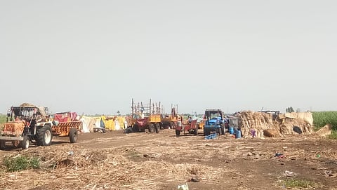 corona effect on sugarcane workers in kolhapur district 
