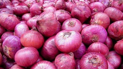 सोलापूर बाजार समितीत आज कांद्याचा भाव गेला पाच हजारपार 