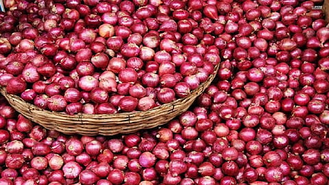 onion demand.jpeg