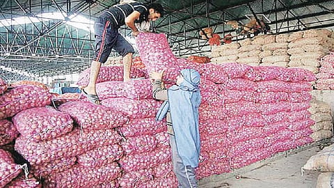 onion export 1.jpg