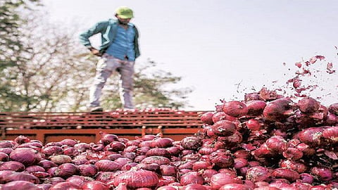 Income tax department raids on onion exporters