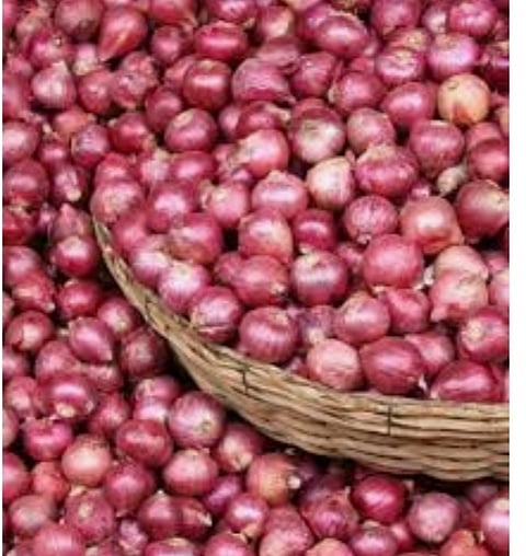 onion
