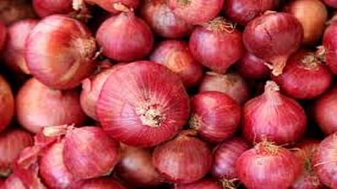 onion