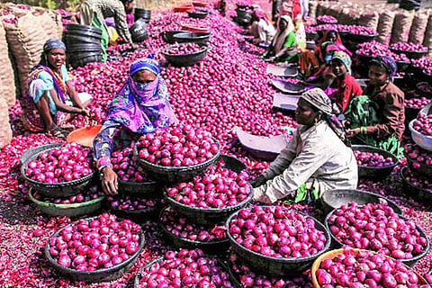 onions