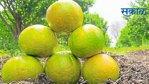orange