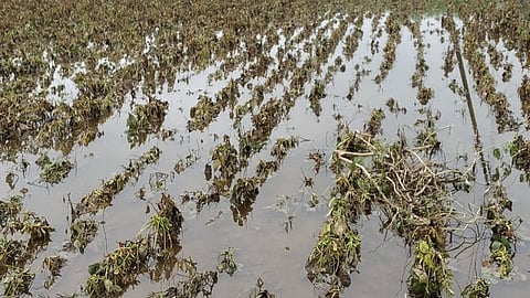 pani water.jpg