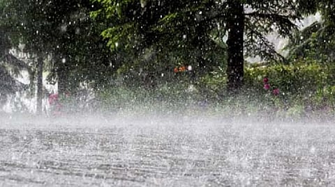 Maharashtra Weather Update unseasonal rain hail  alert by imd in maharashtra today yellow alert for these districts  