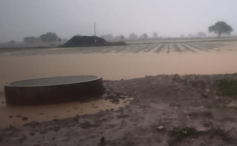Hingoli Rain