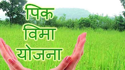 PM Crop Insurance Scheme