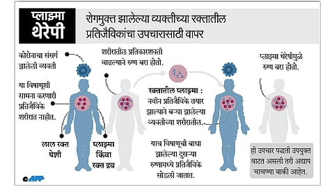plasma therapy
