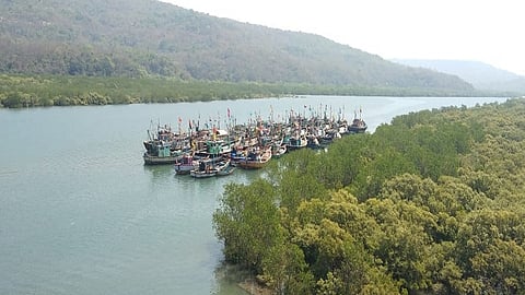 corona viras impact fishing in harne ratnagiri  kokan marathi news