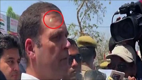 Laser Pointed At Rahul Gandhi Security Breach Congress Tells Government