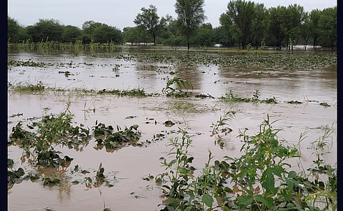 rain.jpg