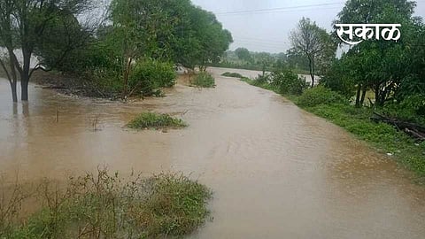 rain