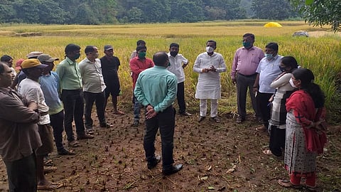 seven ekar land on crop of vegetables and other crop production received by youth in kokan 3 ton in ratnagiri