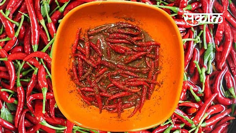 homemade Red Chili Pickle tips food marathi news