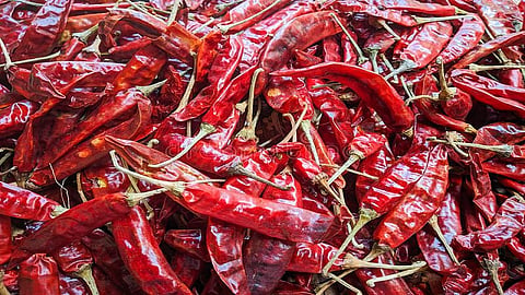 red-chilli