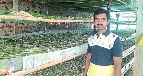  Silk industry in crisis due to corona lockdown