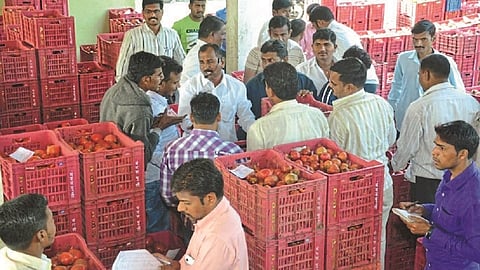  Decline in pomegranate imports, increase in prices; Record rate of 625 per kg