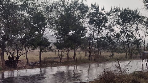 hailstorm