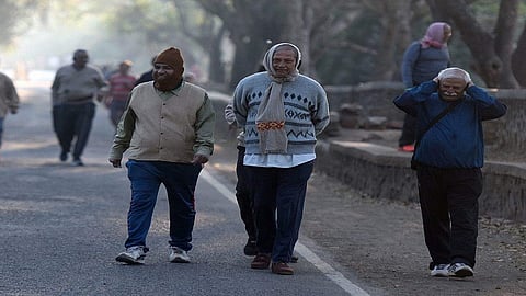 संजय गांधी राष्ट्रीय उद्यान ज्येष्ठांसाठी खुले; इतरांनाही लवकरच परवानगी!