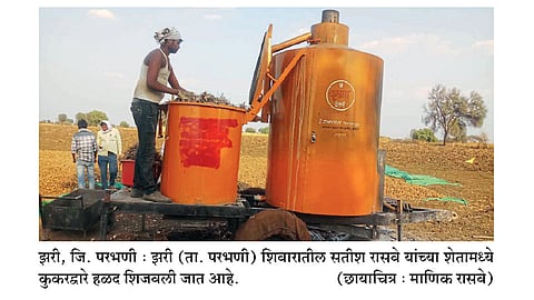 हळद शिजविण्यासाठी कुकरचा वापर
