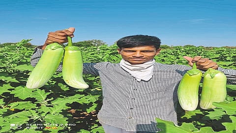 shahapur success story.jpg