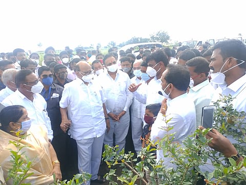 sharad pawar visiting.jpg