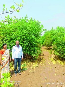 shetakari