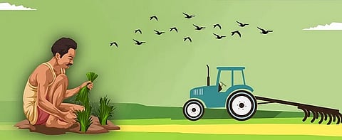  Changes in crop competition of the Department of Agriculture; Now a single year's crop will be considered for the competition