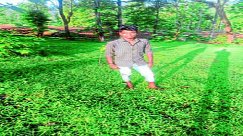 shetmajur.jpg