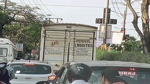 signal 111.jpg