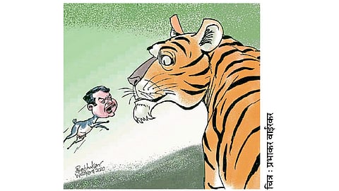 ढिंग टांग :  असेल हिंमत तर..!