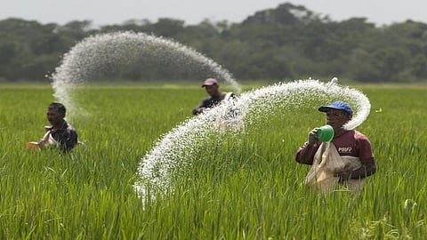  fertilizer